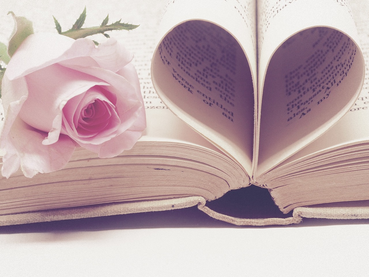 Otwarta książka z różową różą i kartami złożonymi w serce.
